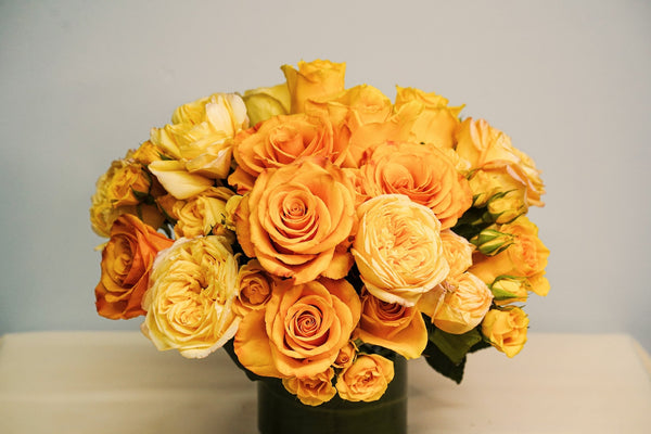 Designers Choice Golden Cream Dream - Los Angeles Florist