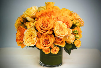 Designers Choice Golden Cream Dream - Los Angeles Florist