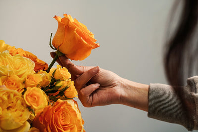 Designers Choice Golden Cream Dream - Los Angeles Florist