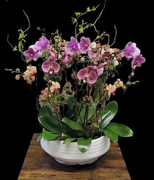 AUTUMN ELEGANT ORCHID SYMPHONY - Los Angeles Florist