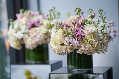 Designers Choice Blushing Elegance - Los Angeles Florist