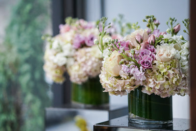 Designers Choice Blushing Elegance - Los Angeles Florist