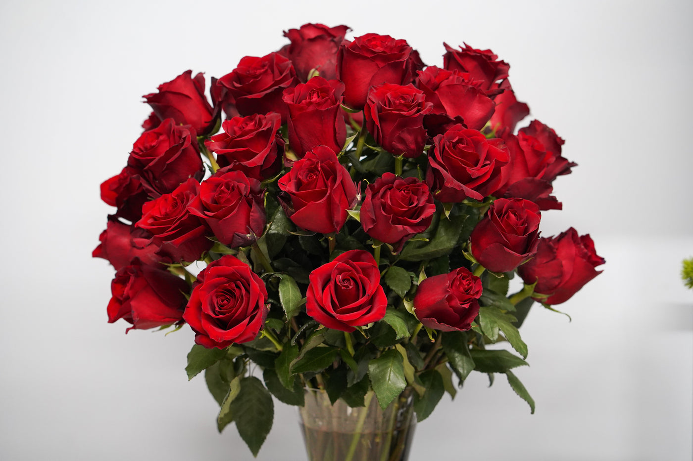 Red Roses - Los Angeles Florist
