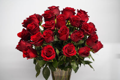 Red Roses - Los Angeles Florist