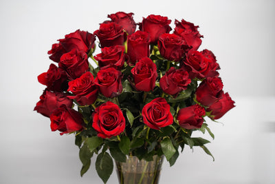 Red Roses - Los Angeles Florist