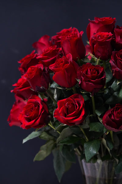 Red Roses - Los Angeles Florist
