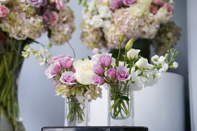 Designers Choice Blushing Elegance - Los Angeles Florist