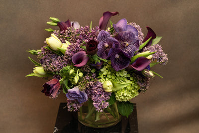 NIGHT FOREST - Los Angeles Florist