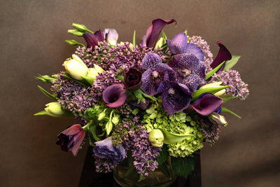 NIGHT FOREST - Los Angeles Florist