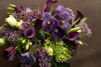 NIGHT FOREST - Los Angeles Florist