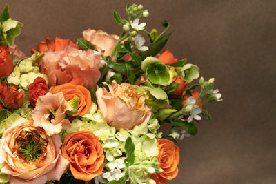 SUN WARMTH  Orange, peach and lime greens - Los Angeles Florist