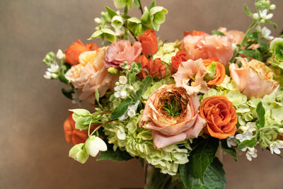 SUN WARMTH  Orange, peach and lime greens - Los Angeles Florist