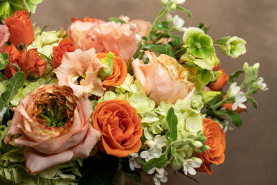 SUN WARMTH  Orange, peach and lime greens - Los Angeles Florist