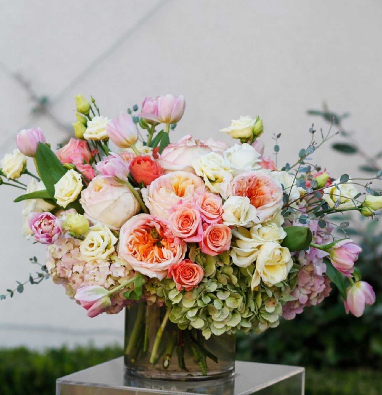 Designers Choice Soft and Blush