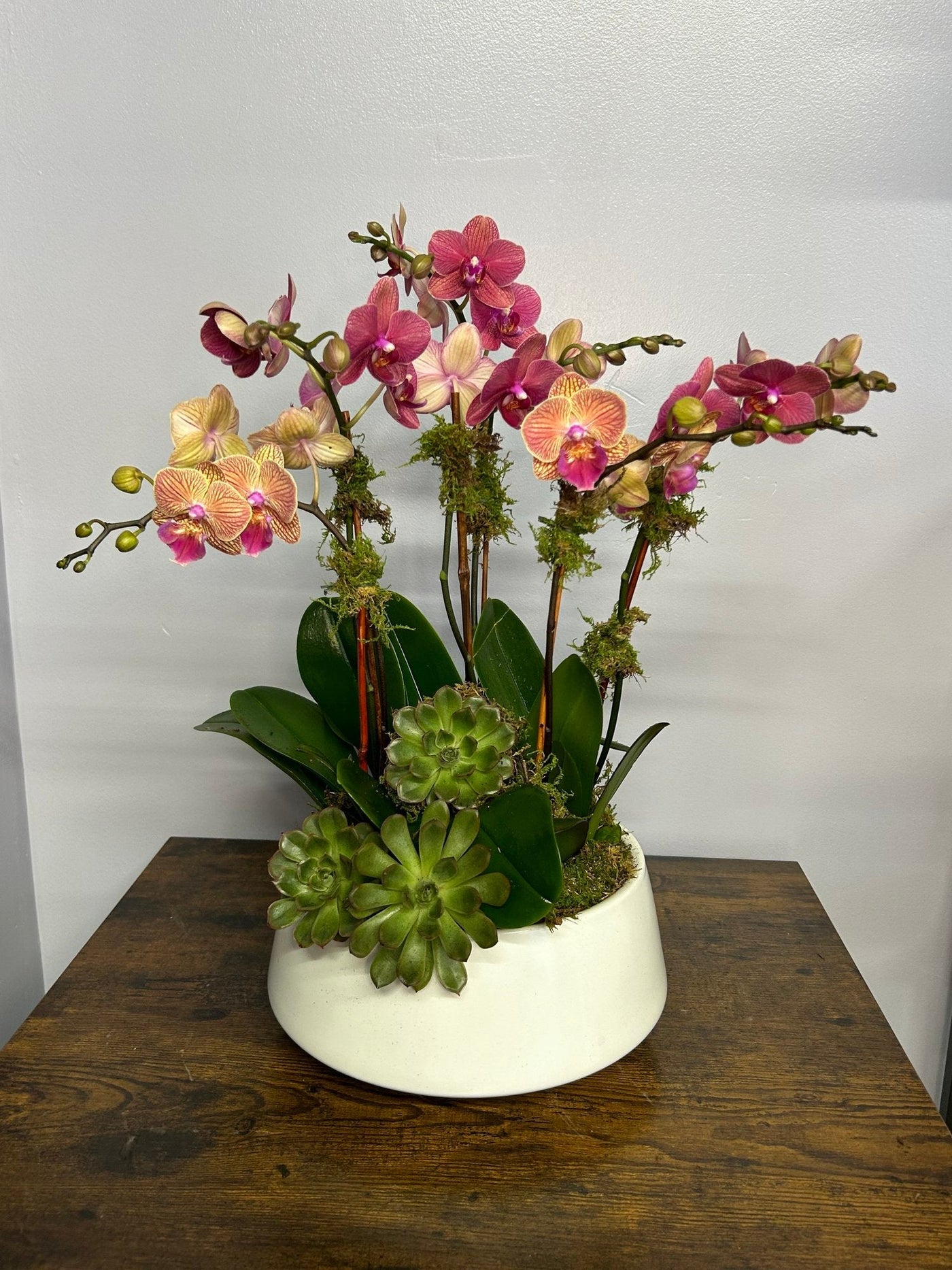 CRIMSON SUNSET ORCHIDS - Los Angeles Florist