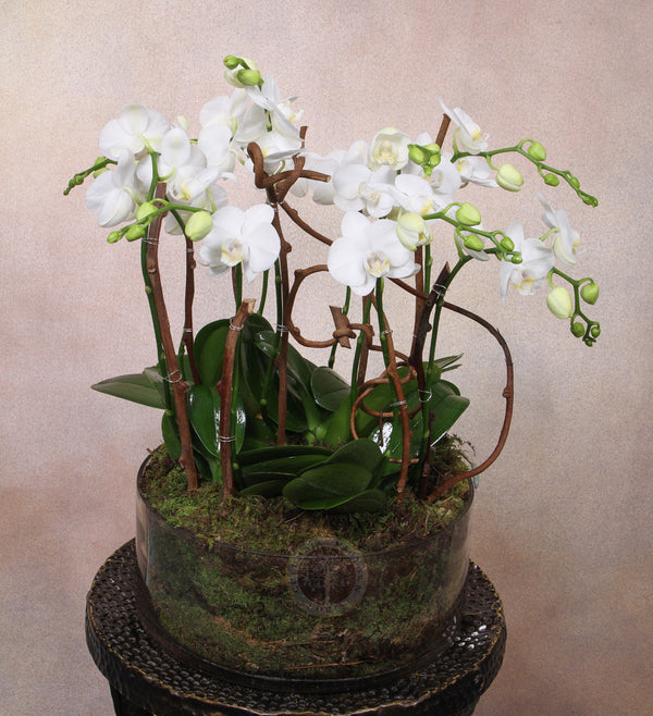 WHIMSICAL - Los Angeles Florist