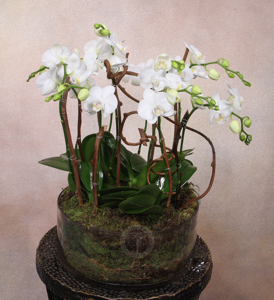WHIMSICAL - Los Angeles Florist