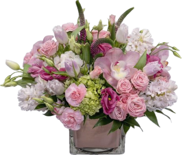 Designers Choice Precious Pink - Los Angeles Florist