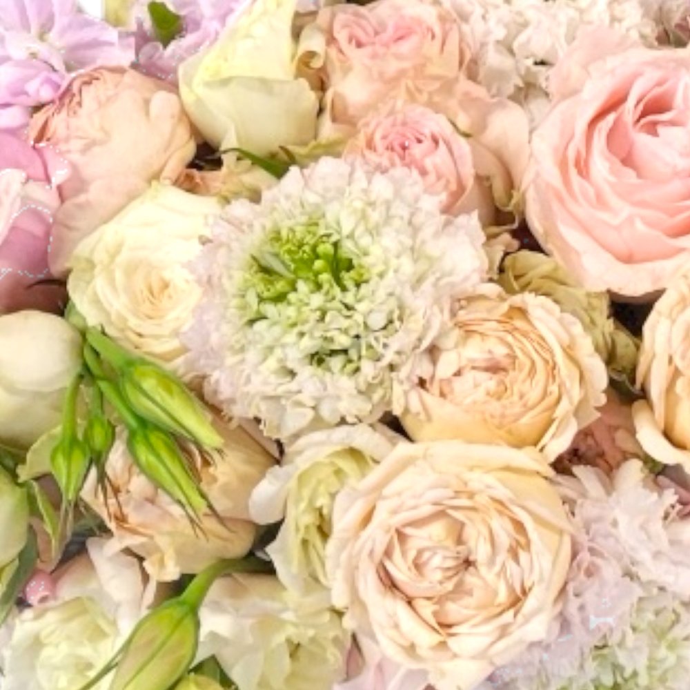 Designers Choice Spring Edition - Los Angeles Florist