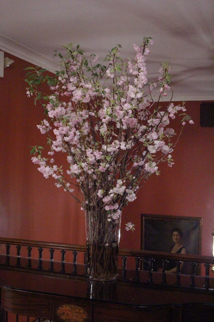 Arrangement 13 - Los Angeles Florist