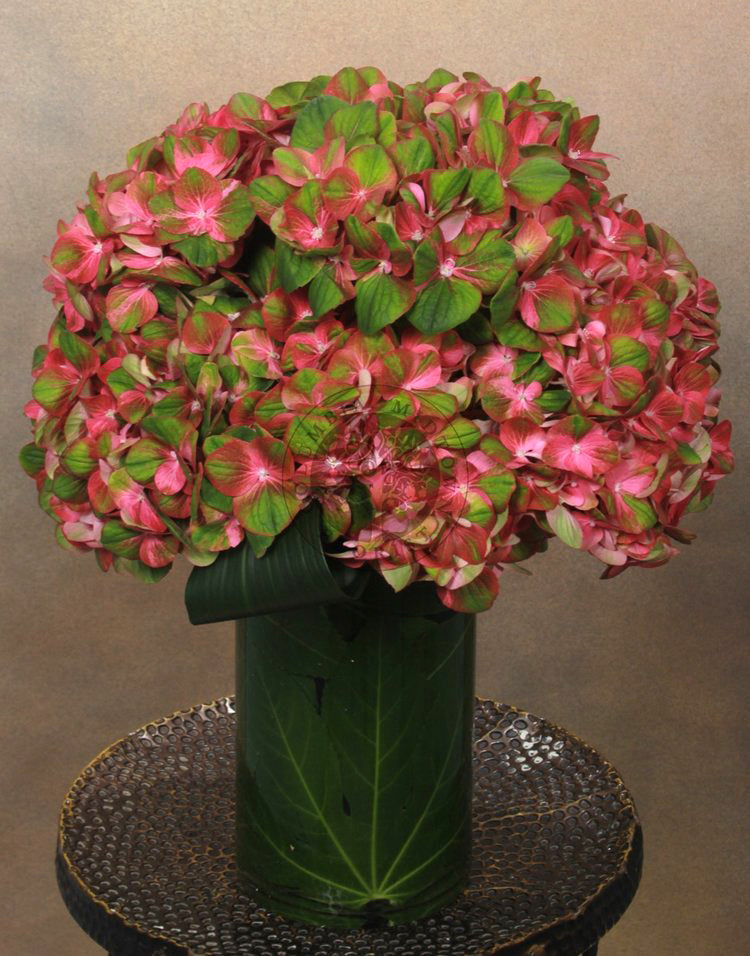 Arrangement 9 - Los Angeles Florist