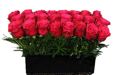 LUSCIOUS LOVE PAVE - Los Angeles Florist