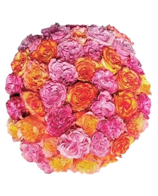 Grand Garden Rose Celebration - Los Angeles Florist