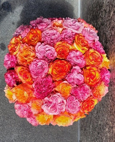 Grand Garden Rose Celebration - Los Angeles Florist