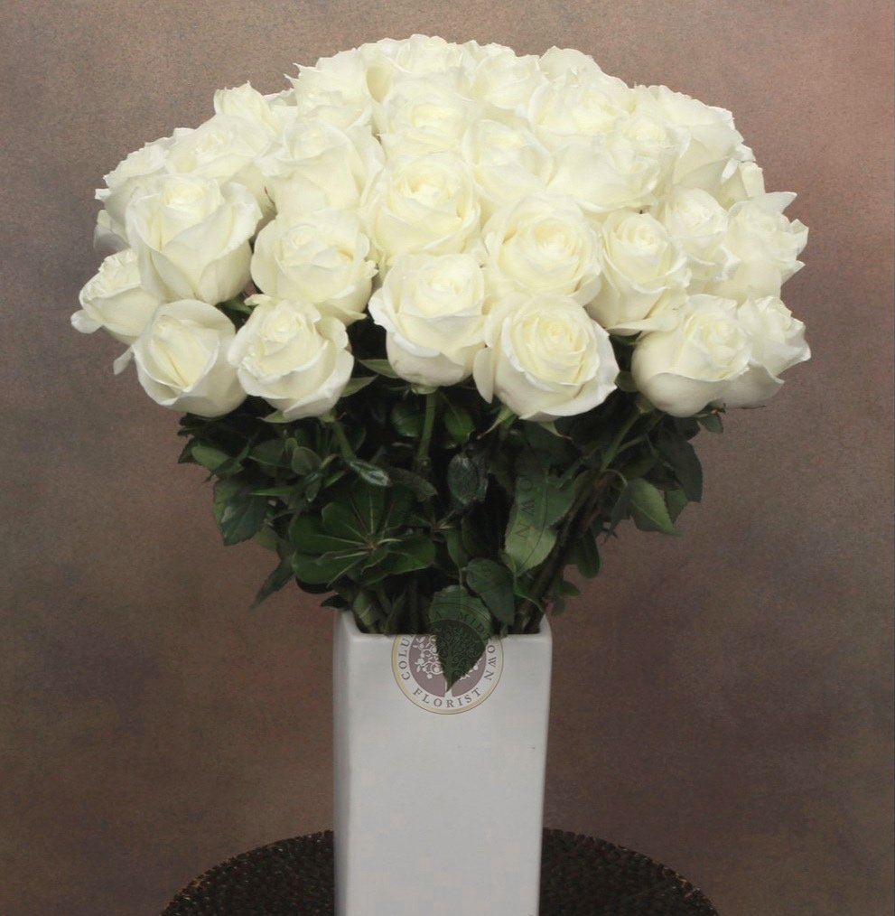 White Rose Perfection - Los Angeles Florist