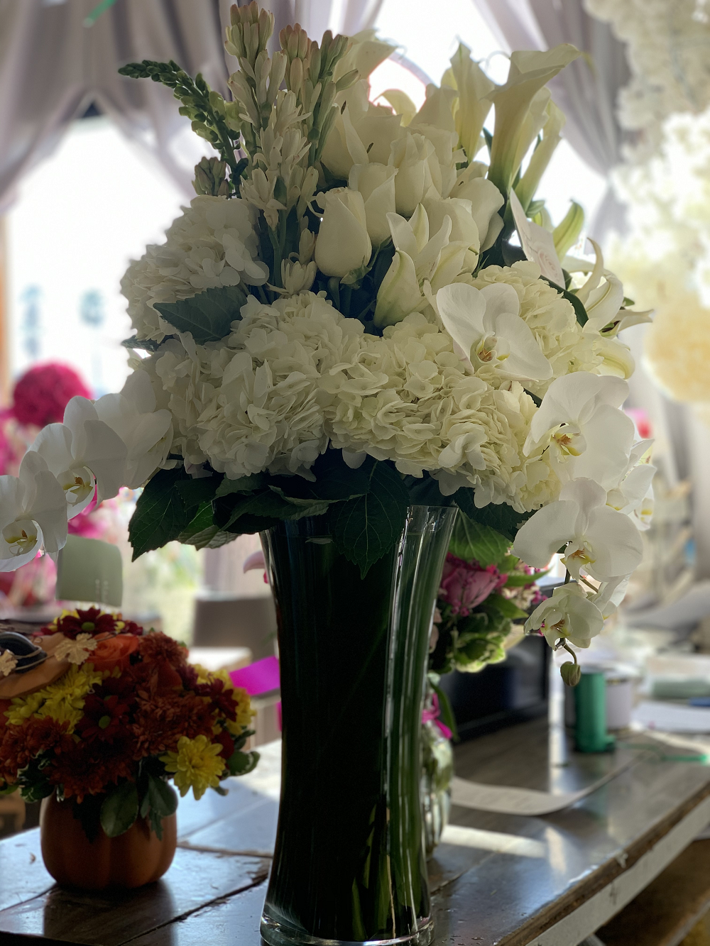 Delicate Whites