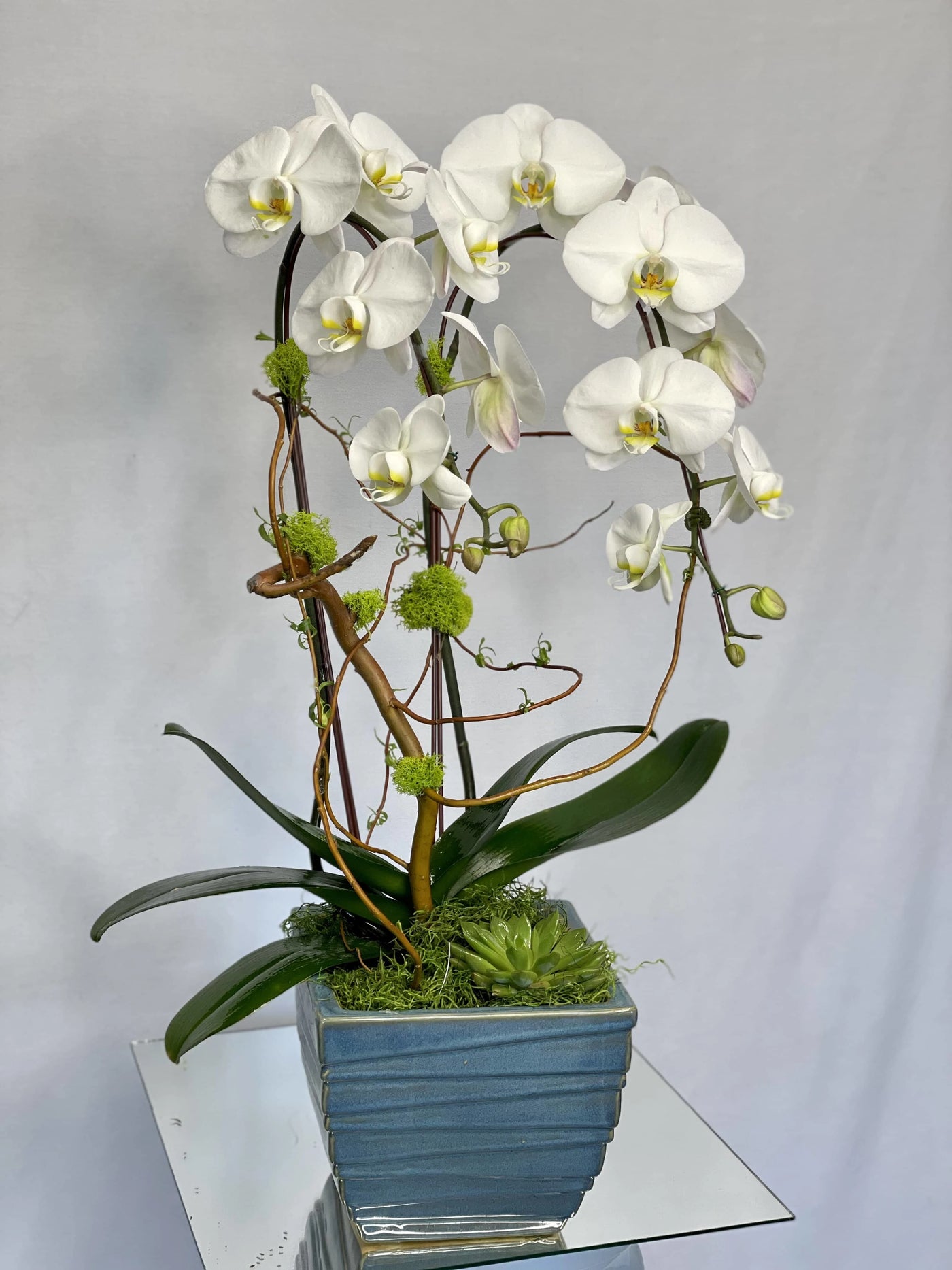 Simply Orchids - Los Angeles Florist | Flower Shop West Los Angeles