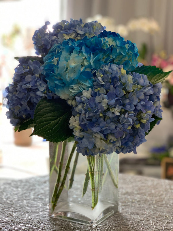 Sky Blue Hydrangea | Flower Shop West Los Angeles