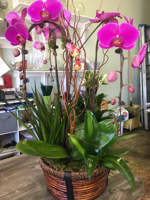 Violet Galore | Flower Shop West Los Angeles